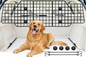 Best Pet Barriers for Jeep Grand Cherokee