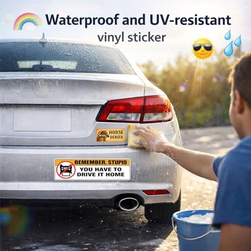 Best Funny Jeep Bumper Stickers 2026